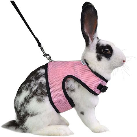 bunny harness